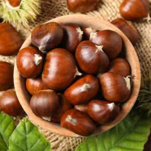 Chestnut, Chestnuts, Nut, Nuts, Castanea