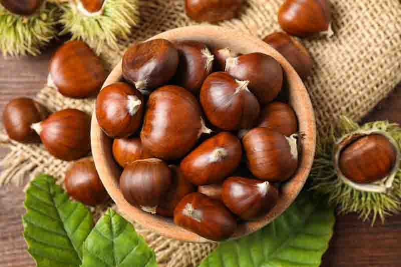 Chestnut, Chestnuts, Nut, Nuts, Castanea