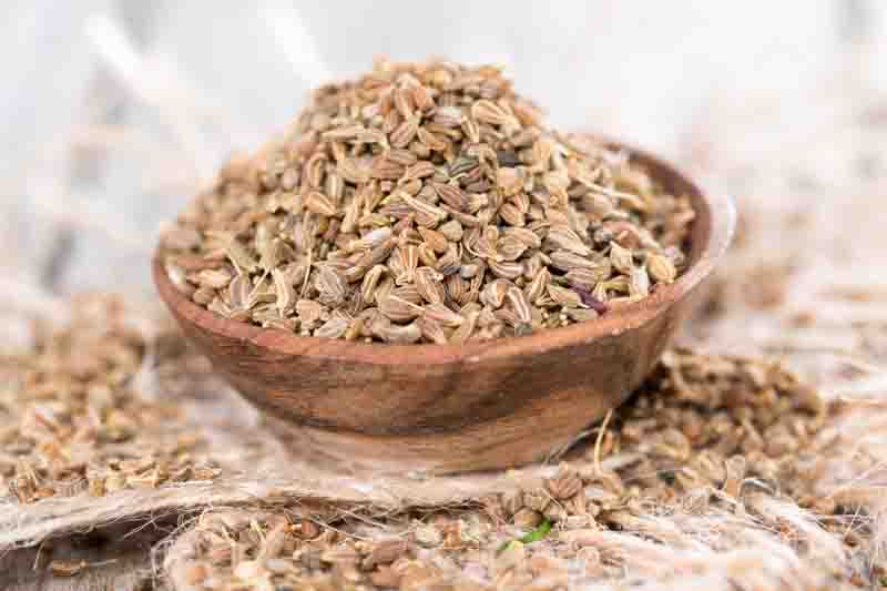 Anise, Aniseed, Common Anise, Sweet Cumin, Anis, Anis Vert, Anise Plant