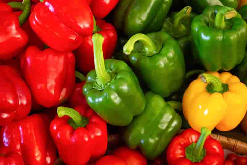 Bell Pepper, Capsicum, Capsicum annuum, Capsicum annuum var. annuum, Green Pepper, Red Pepper, Sweet Bell Pepper, Sweet Pepper, Yellow Pepper
