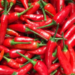 Cayenne, Cayenne Pepper, Guinea Pepper, Bird Pepper, Red Pepper, Cow-horn Pepper, Aleva Pepper, Finger Chili, Capsicum annuum