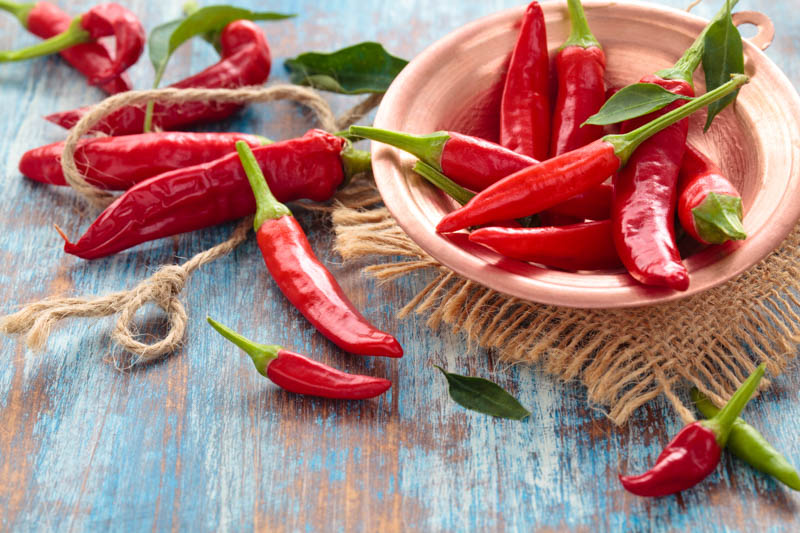 Pepper, Capsicum annuum
