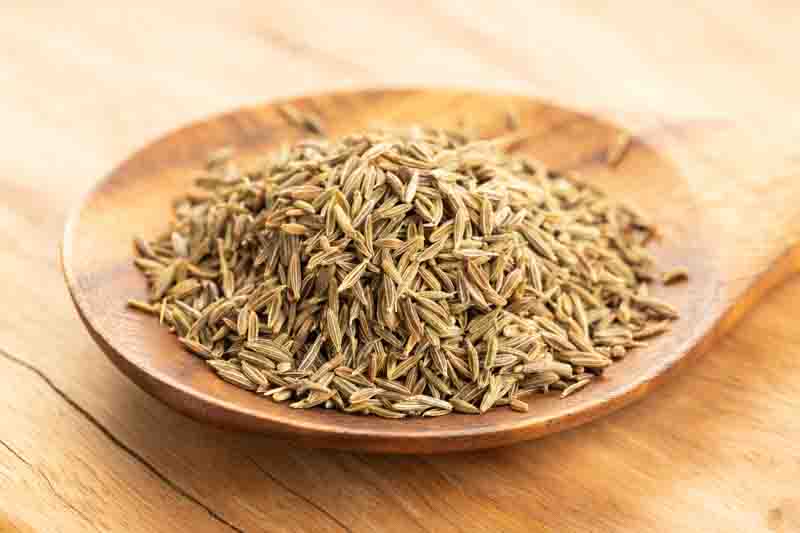 Cumin, Common Cumin, Jeera, Indian Cumin, Cuminum Cyminum