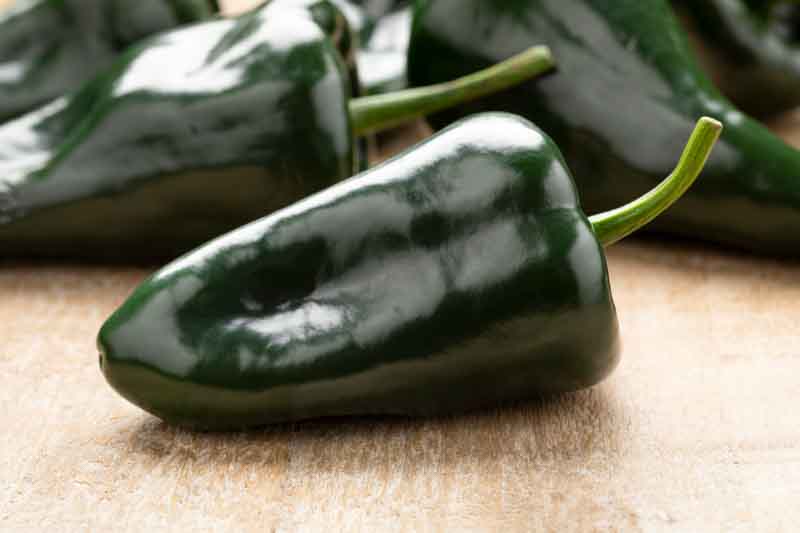 Poblano, Poblano Pepper, Ancho Pepper (when dried), Ancho (when dried), Chile Poblano, Capsicum annuum Poblano