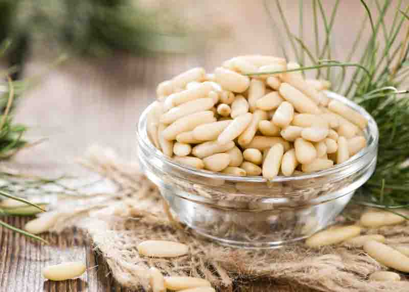 Pine nuts, Pine nut, pignoli, pinoli, Piñón, Pine seeds, Pine trees