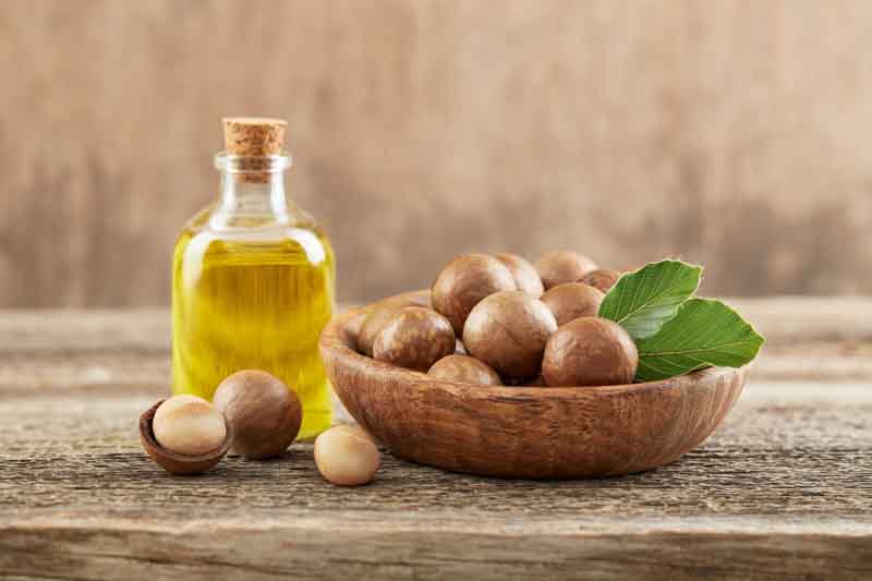 Macadamia, Macadamia nut, Queensland nut, Smooth-shelled macadamia, Bauple nut, Bush nut, Maroochi nut, Macadamia integrifolia