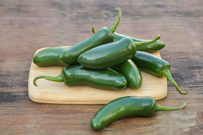 Jalapeno, Jalapeño, Jalapeño Pepper, Jalapeño Chili, Chile Jalapeño, Capsicum annuum var. annuum