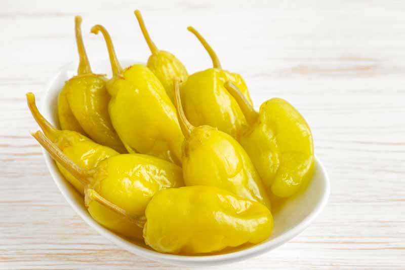 Pepperoncini, Pepperocini, Pepperchini, Golden Greek Pepper, Tuscan Pepper, Friarielli, Capsicum annuum