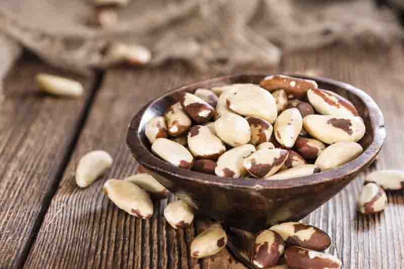 Brazil Nuts, Brazil Nut, Brazil Nut Tree, Castanha-do-Pará, Para Nut, Amazon Nut, Bertholletia excelsa