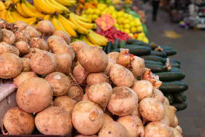 Jicama, Yam bean, Mexican turnip, Mexican potato, Chinese turnip, Saa got, Bang kuang, Sengkuang, Chop suey bean, Singkamas, Mexican yam, Jicama de agua, Jicama de leche, Pachyrhizus erosus