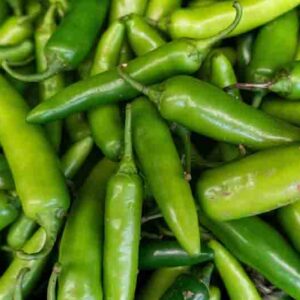 Serrano, Serrano Pepper, Chile Serrano, Capsicum annuum Serrano, Mexican Serrano, Hot Green Pepper