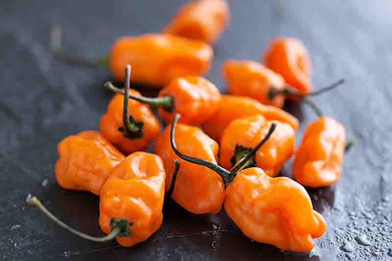 Habanero, Habanero Pepper, Habanero Chili, Capsicum Chinense