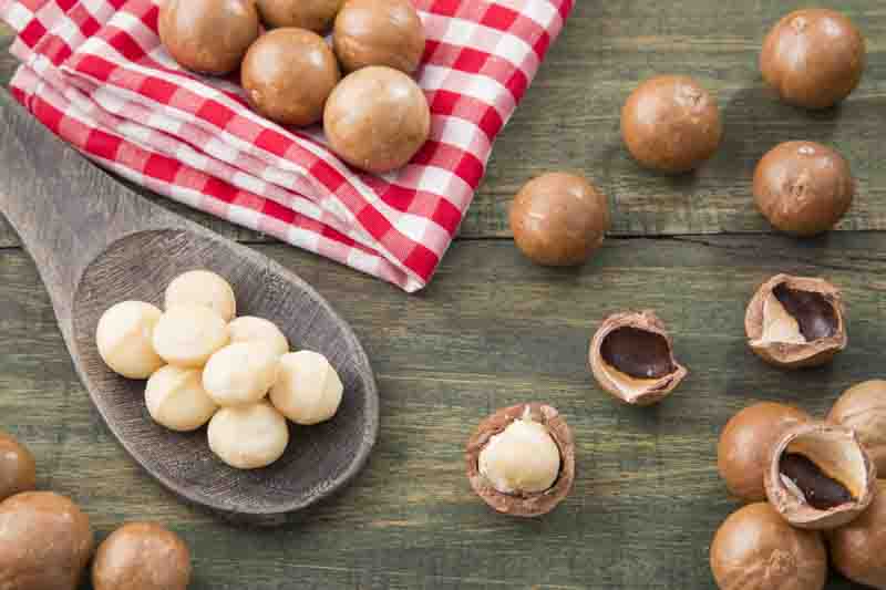 Macadamia, Macadamia nut, Queensland nut, Smooth-shelled macadamia, Bauple nut, Bush nut, Maroochi nut, Macadamia integrifolia
