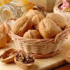 Walnut, English Walnut, Persian Walnut, European Walnut, French Walnut, Juglans regia