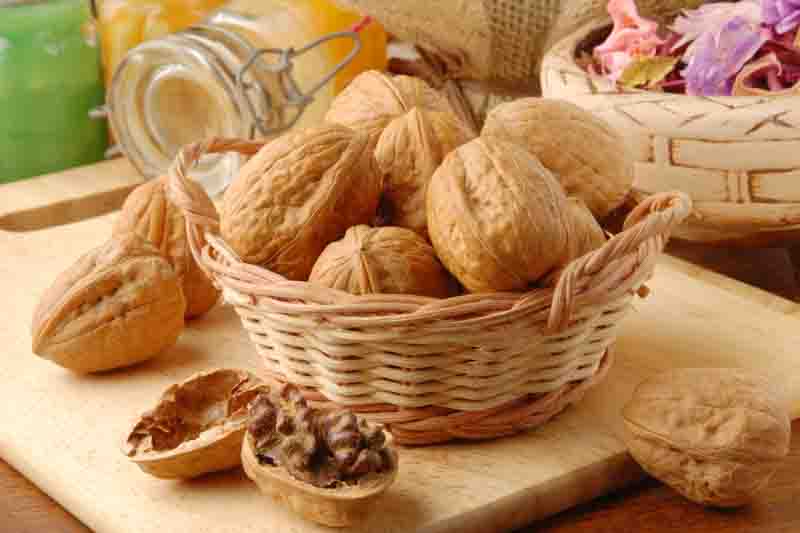 Walnut, English Walnut, Persian Walnut, European Walnut, French Walnut, Juglans regia