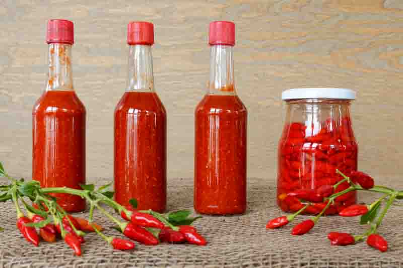 Tabasco Pepper, Tabasco Chili, Tabasco, Chili Tabasco, Capsicum frutescens