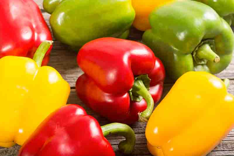 Paprika, Sweet Paprika, Hungarian Paprika, Spanish Paprika, Pimentón, Capsicum annuum