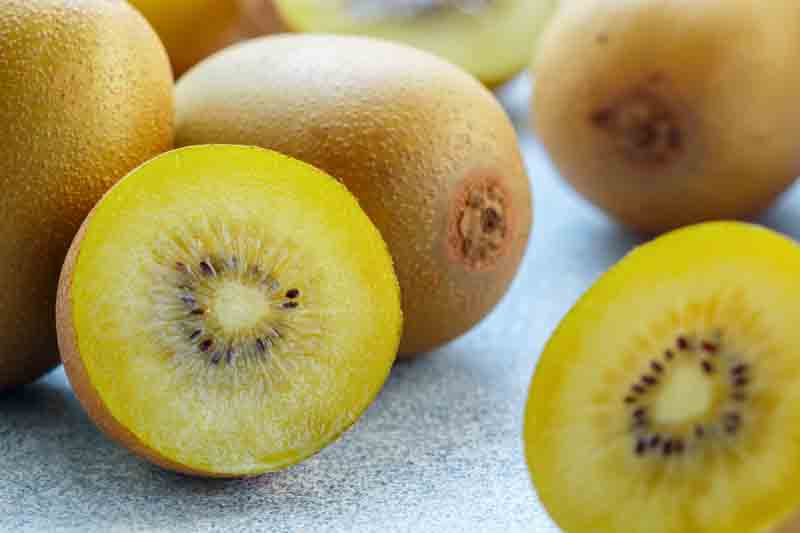 Kiwi, Golden Kiwi, Kiwi Benefits, Kiwi Fruit, Kiwi Calories, Kiwi Nutrition, Kiwi vine, Actinidia chinensis