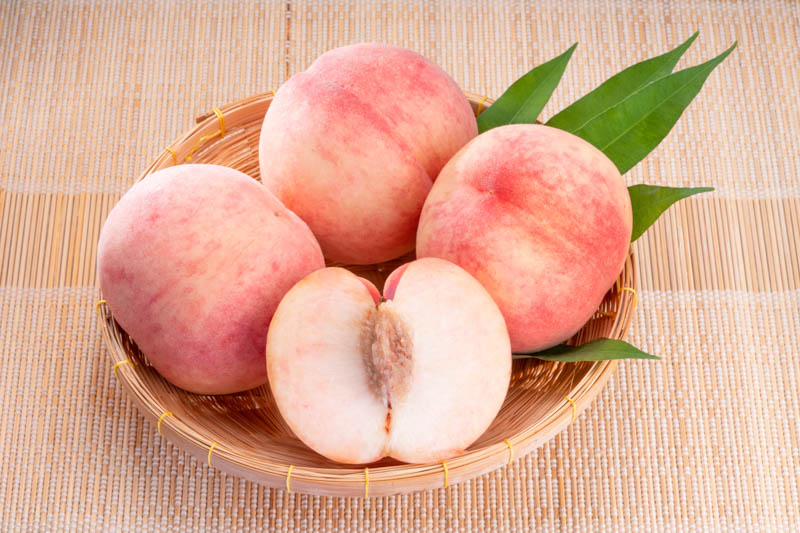 peach様ホワイト White Peach Varieties for Every Climate