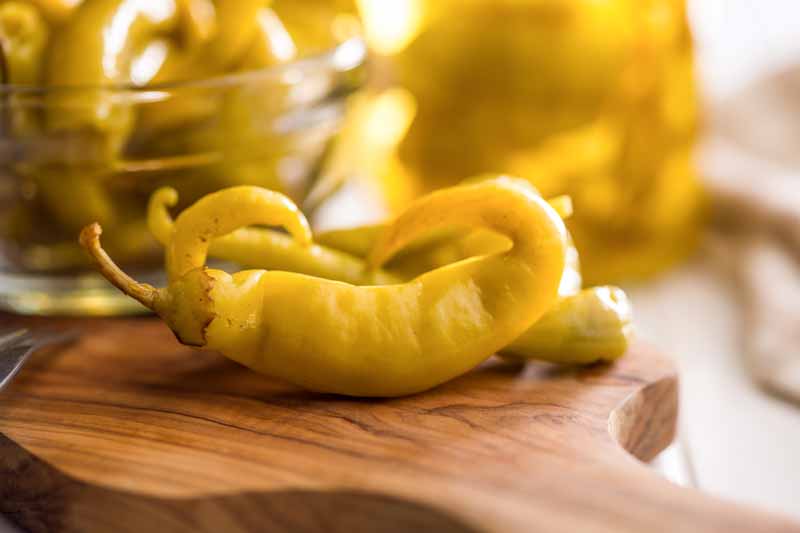 Banana Pepper, Yellow Wax Pepper, Banana Chili, Banana Sweet Pepper, Sweet Banana Pepper, Capsicum Annuum Banana