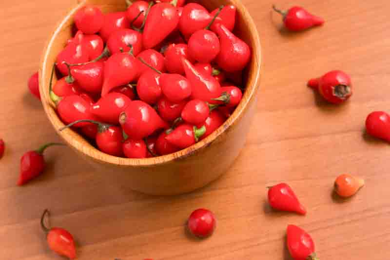 Biquinho Pepper into a bowl. Capsicum Chinense over a wooden table
