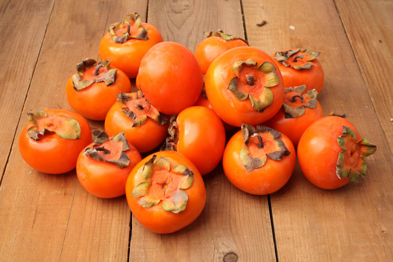 Diospyros kaki, Fuyu, Japanese Persimmon, Oriental Persimmon, Persimmon Fruit, Persimmon Tree, Kaki, Kaki Fruit,