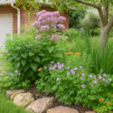 Native plant tree bed with Butterfly Weed, Wild Geranium, Sweet Joe Pye Weed