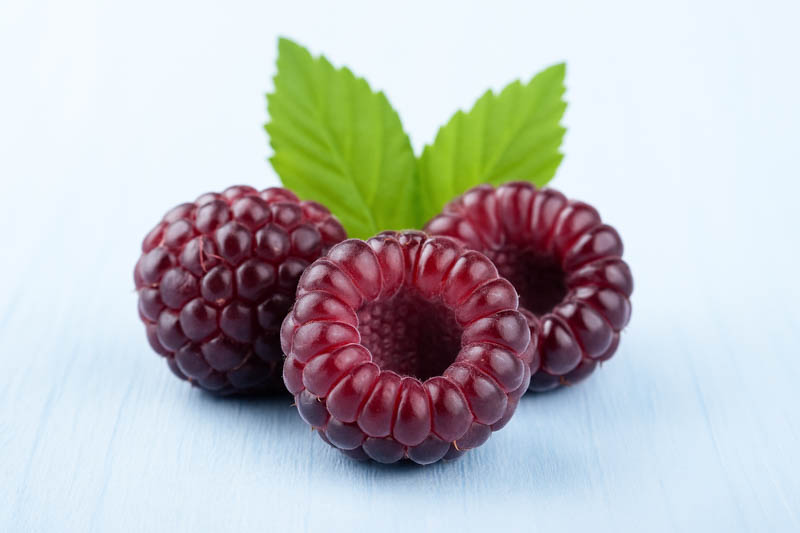 Cumberland Black Raspberry: Benefits, Uses, Care