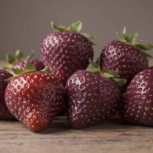 Purple Wonder Strawberry, Purple Strawberry, Alpine Strawberry, Wild Strawberry, Woodland Strawberry