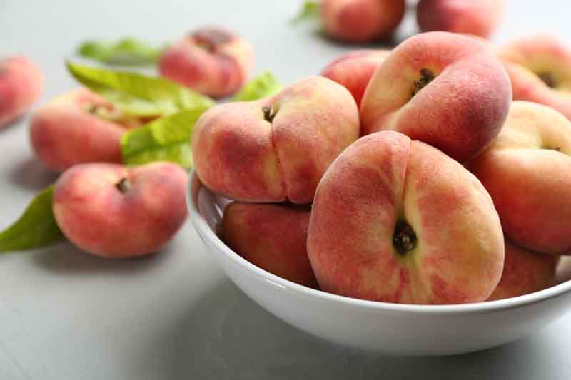 Donut Peach, Saturn Peach, Peach, Peaches, Peach Tree, Peach Blossom, Prunus persica