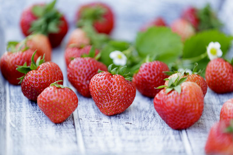 Strawberry, Strawberries, Strawberry plant, Fragaria x ananassa