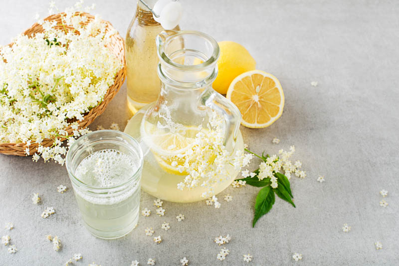 Elderberry lemonade, Elderberry, Elder, Black Elderberry, Sambucus nigra