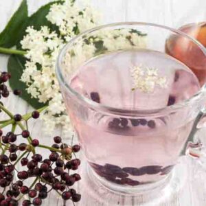 Elderberry infusion in water. Sambucus nigra