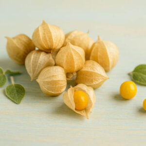 Ground Cherry, Husk Tomato, Strawberry Tomato, Husk Cherry, Strawberry Ground Cherry, Physalis pruinosa