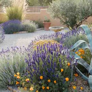 Drought, Drought tolerant shrubs, Drought tolerant flowers, Drought tolerant groundcover