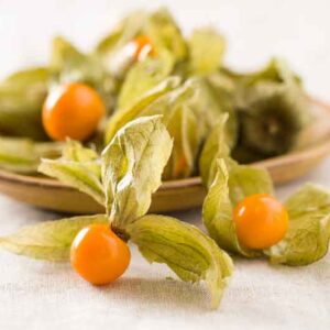 Cape Gooseberry, Goldenberry, Gooseberry, Ground Cherry, Poha, Physalis peruviana