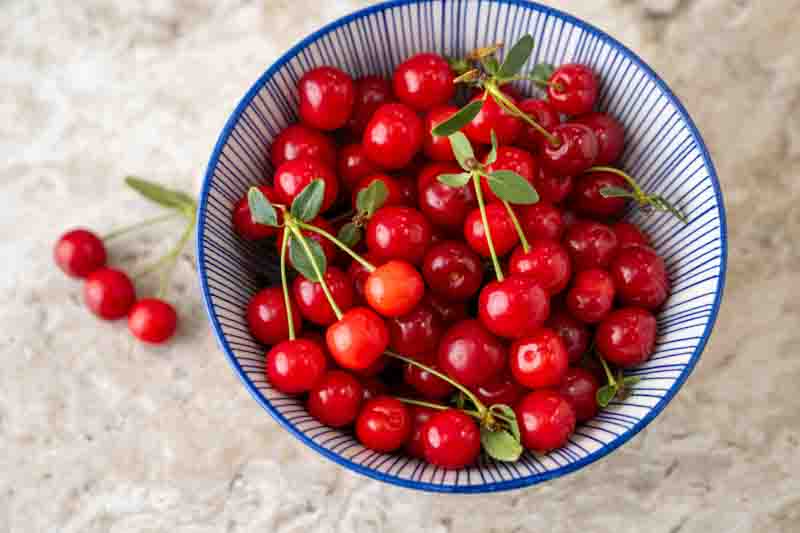 Tart cherry, Tart cherries, Sour cherry, Sour cherries, Prunus cerasus