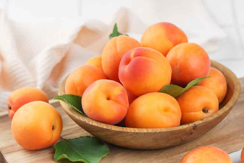 Ripe fresh apricots with green leaves arranged in a wooden bowl on rustic wooden cutting board. Healthy seasonal summer fruit, healthy food, natural nutrition, ingredient for cooking and desserts.