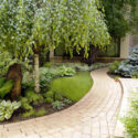 Shade plants, shade garden, shade loving plants, full shade plants, plants that grow in shade, perennial plants and flowers for shade, shade garden plants