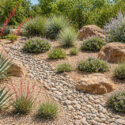 Desert Dry Creek Border with Agave & Texas Sage