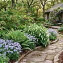 Shrub garden with American beautyberry (Callicarpa americana) , River oats (Chasmanthium latifolium), Virginia sweetspire (Itea virginica), Christmas fern (Polystichum acrostichoides), Woodland phlox (Phlox divaricata)