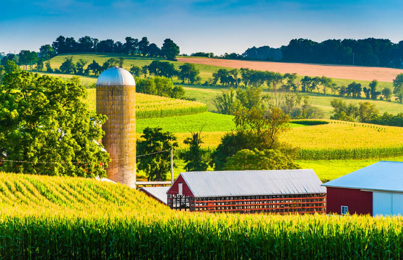 Barn and silo on a farm in rural York County