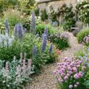 Echium vulgare Stachys byzantina Veronica gentianoides, chives and Borago