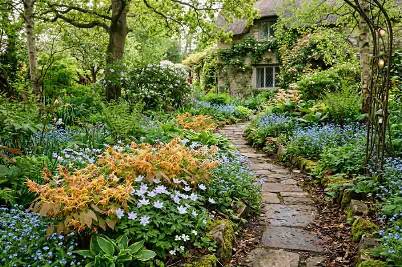 Epimedium Amber Queen in a woodland border with Anemone nemorosa Robinsoniana, myosotis