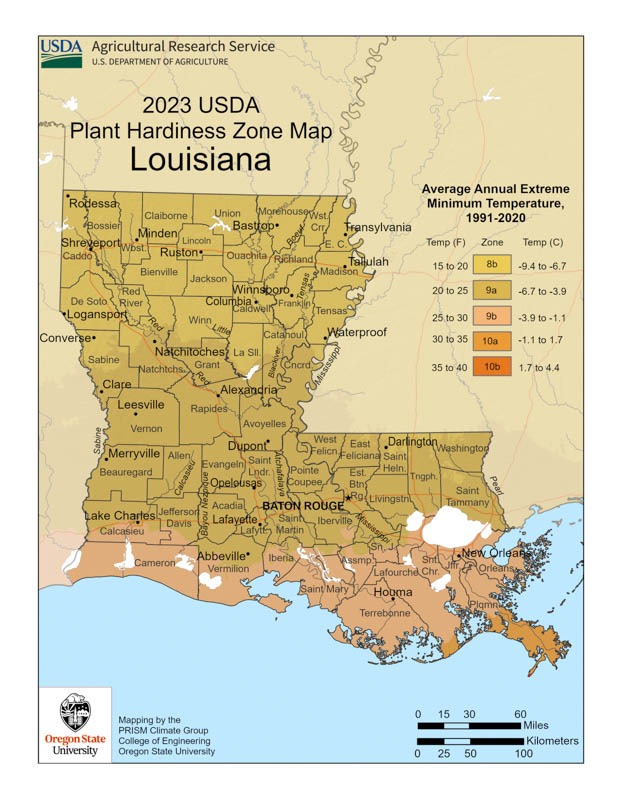 Louisiana Planting Zones, Louisiana Growing Zones, Louisiana Garden Zones, Louisiana Hardiness Zone Map