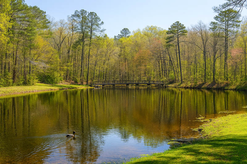 Mississippi River