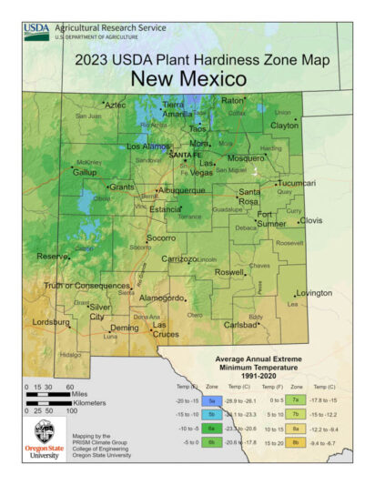 New Mexico Planting Zones - Growing Zones Guide