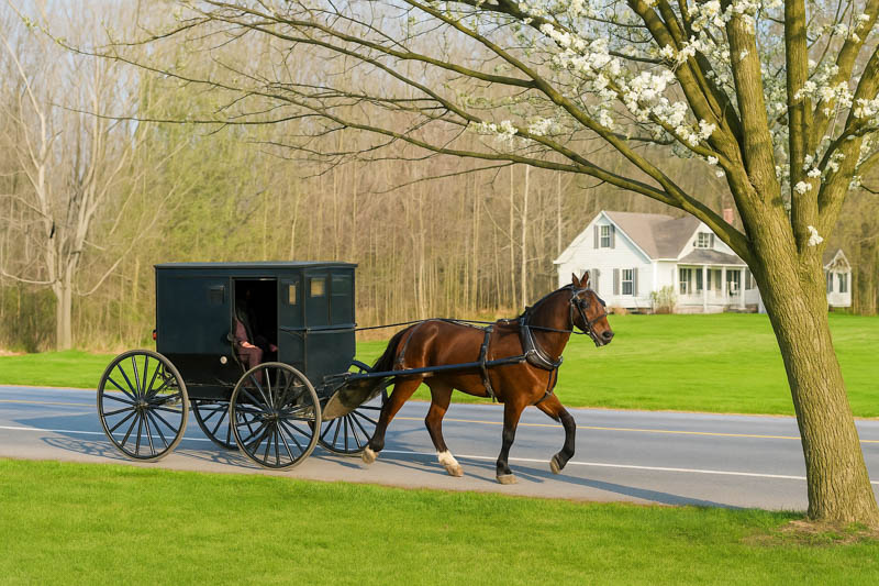 Pennsylvania, Amish buggy