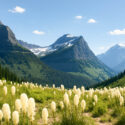 Rocky Mountain Range of Glacier National Park in Montana. Beargrass in bloom