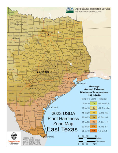 Texas Planting Zones, Texas Growing Zones, Texas Garden Zones, East Texas usda Hardiness Zone Map